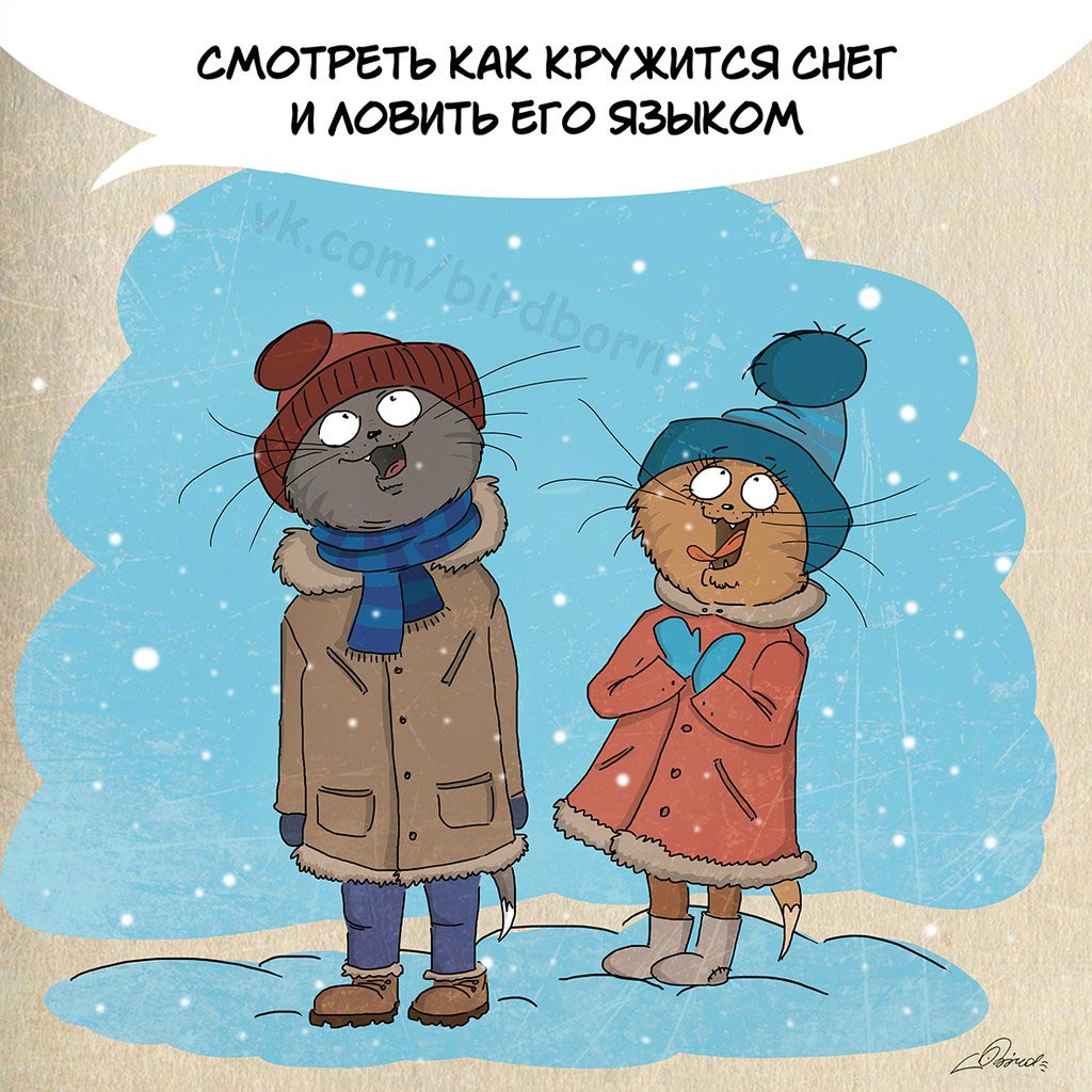 10 причин любить зиму, Bird Born