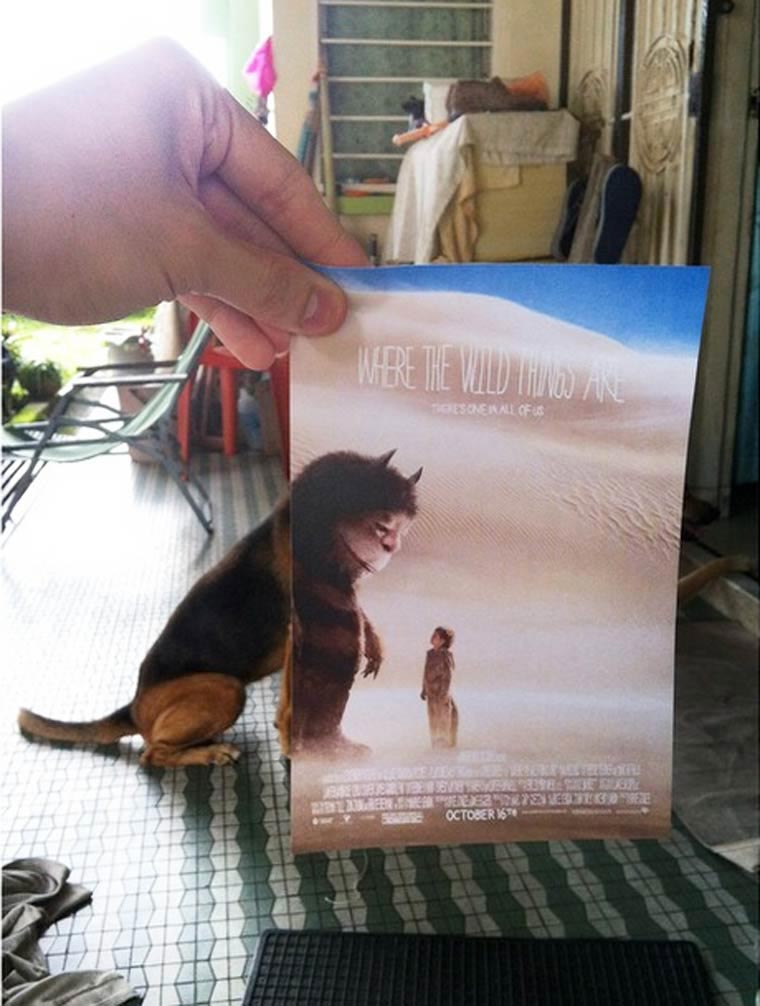 Джейм Чунг,Jaemy Choong, плакаты фильмов часть реальности, постеры фильмов часть реальности