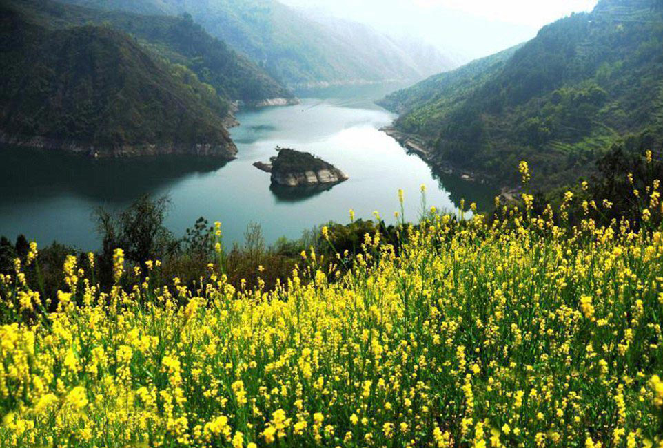 остров черепаха в Китае, остров-черепаха весной, остров можно увидеть только весной, река Муодаокси, Muodaoxi