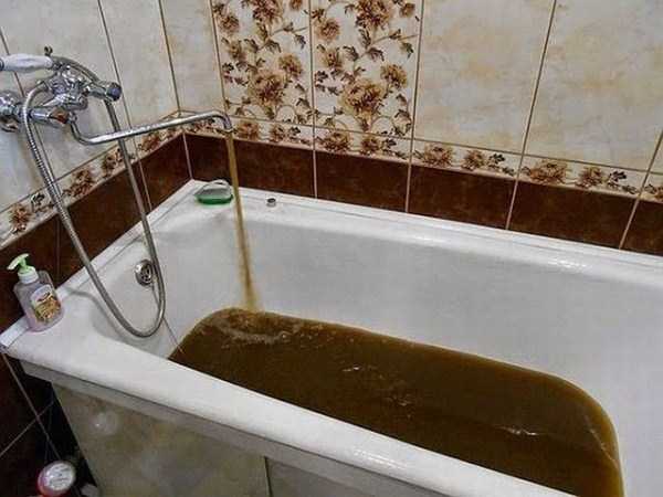 Это Россия детка, только в России, умом Россию не понять 