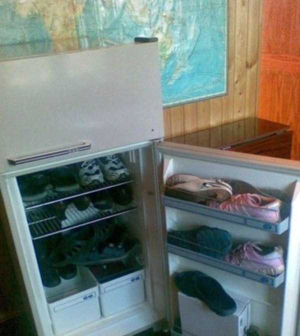 Это Россия детка, только в России, умом Россию не понять 