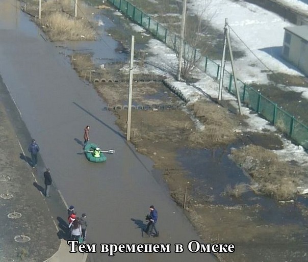 Это Россия детка, только в России, умом Россию не понять 