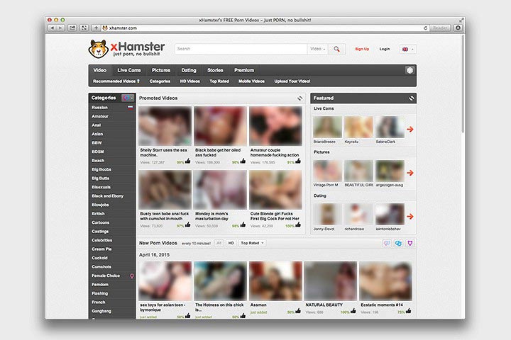 Пчёлки больше не тверкуют, пчёлы тверк, запретили в 2015 году, Россия запреты