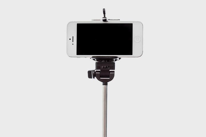 Пчёлки больше не тверкуют, пчёлы тверк, запретили в 2015 году, Россия запреты