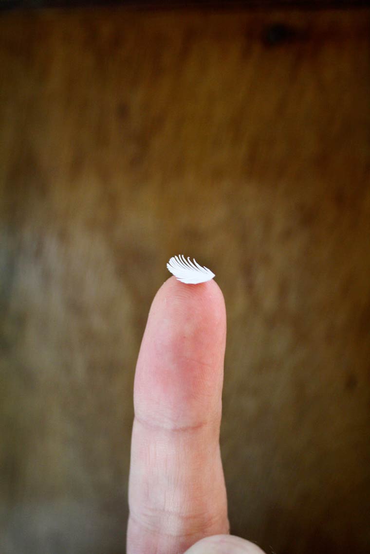 птицы из бумаги, реалистичные птицы из бумаги, Зак Маклафлин, Zack Mclaughlin