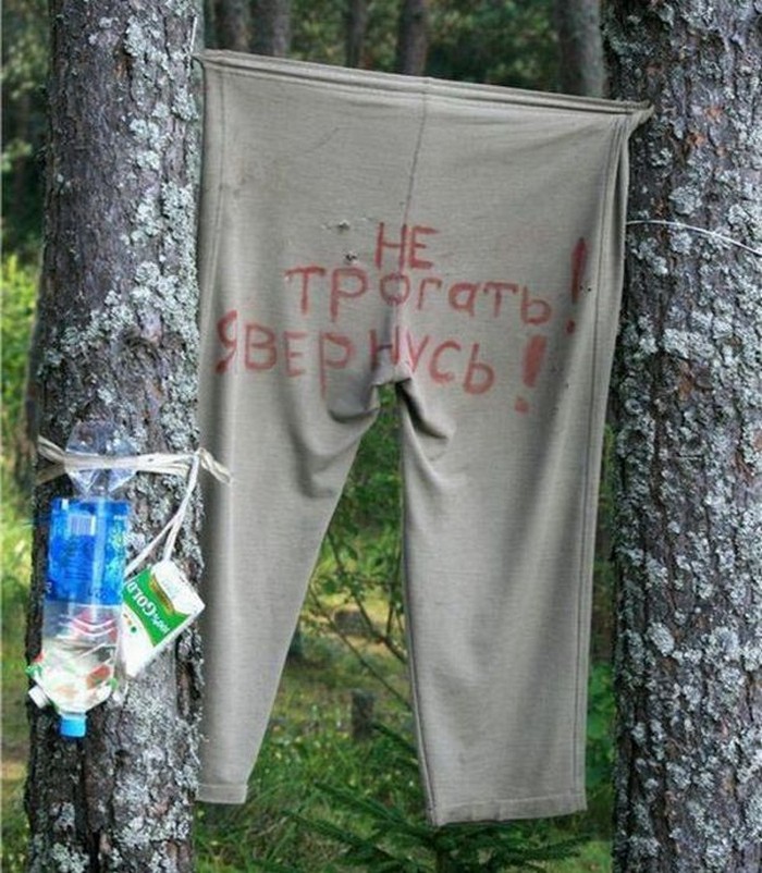 Это Россия детка, только в России, умом Россию не понять 