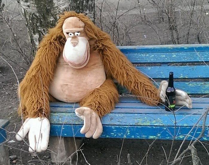 Это Россия детка, только в России, умом Россию не понять 