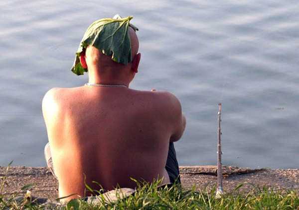 Это Россия детка, только в России, умом Россию не понять 