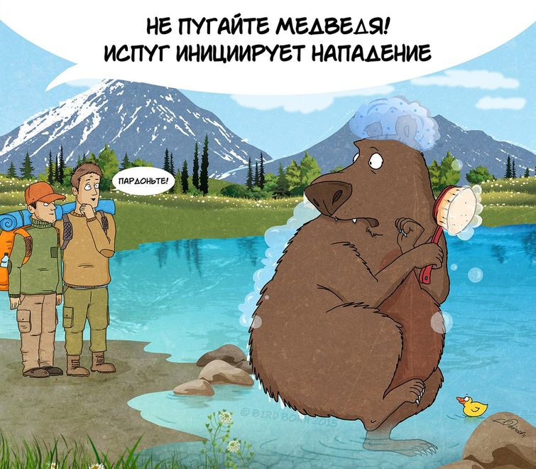 Медведь и туристы картинка