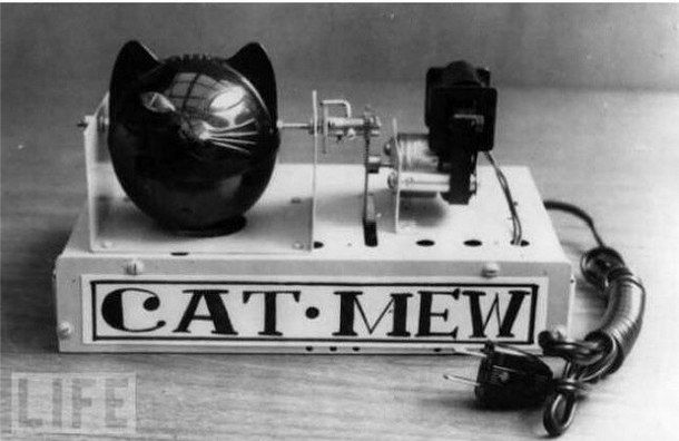 Исторические кадры, редкие архивные фотографии, исторические события, редкие фото звёзд