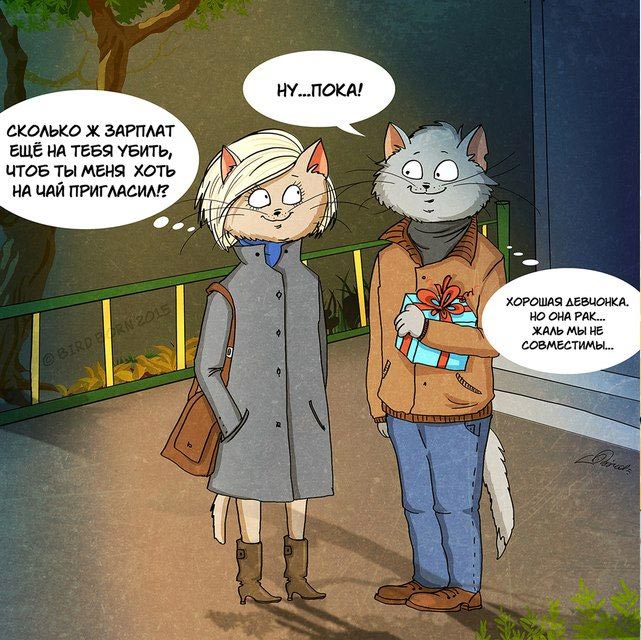 если бы мужчины и женщины поменялись местами, Bird Born