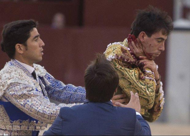 тореодор удар в шею, Саул Хименес Фортес, Saul Jimenez Fortes, бук разорвал тореодору шею, удар рогом в шею тореодор