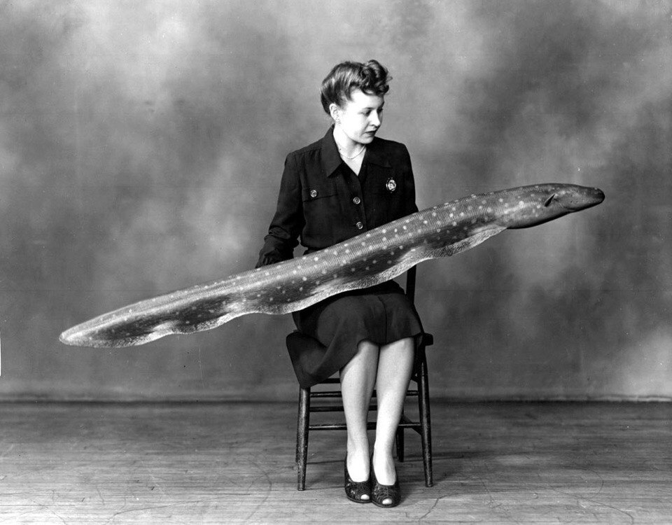 Вперёд, в прошлое: значимые архивные кадры, которые откроют вам окно в историю Исторические кадры, редкие архивные фотографии, исторические события, редкие фото звёзд