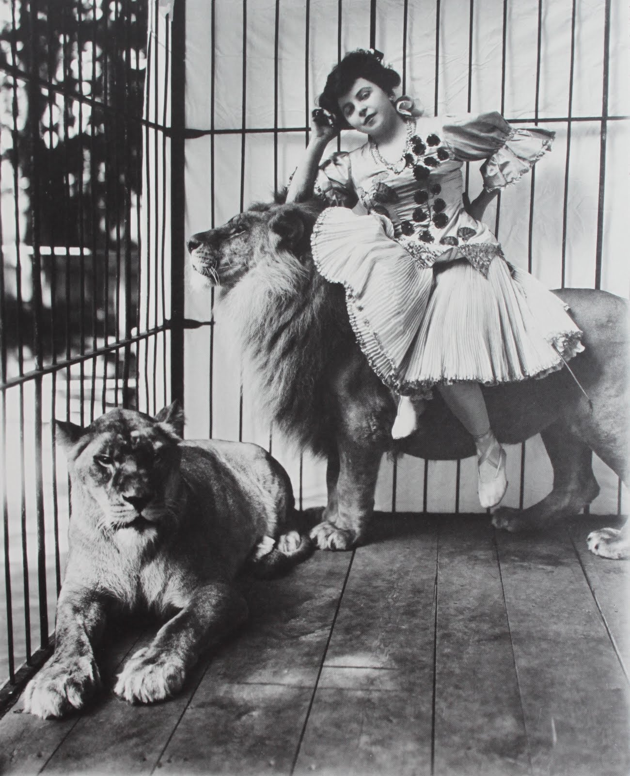 Вперёд, в прошлое: значимые архивные кадры, которые откроют вам окно в историю Исторические кадры, редкие архивные фотографии, исторические события, редкие фото звёзд