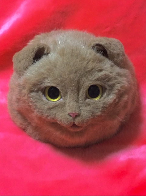 Реалистичные сумки в виде кошек, ставшие новым модным трендом в Японии сумки в виде кошек. реалистичные сумки в виде кошек