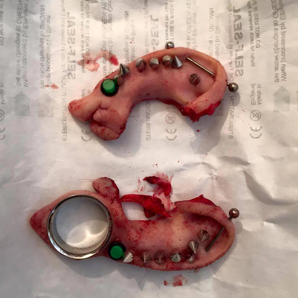 Бодибезумие, человек-попугай, Тед Ричардс, Ted Richards, отрезал себе уши, человек попугай отрезал уши