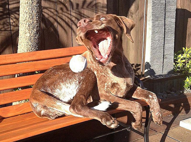 в нужный момент, удачный кадр