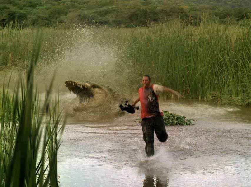 в нужный момент, удачный кадр