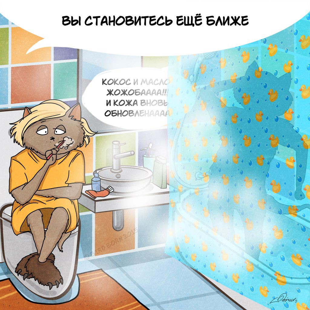 Коты, которые расскажут о радостях совместной жизни Bird Born, коты Bird Born, 10 причин начать жить вместе