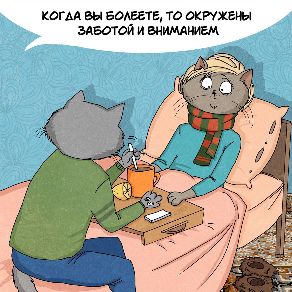 Коты, которые расскажут о радостях совместной жизни Bird Born, коты Bird Born, 10 причин начать жить вместе