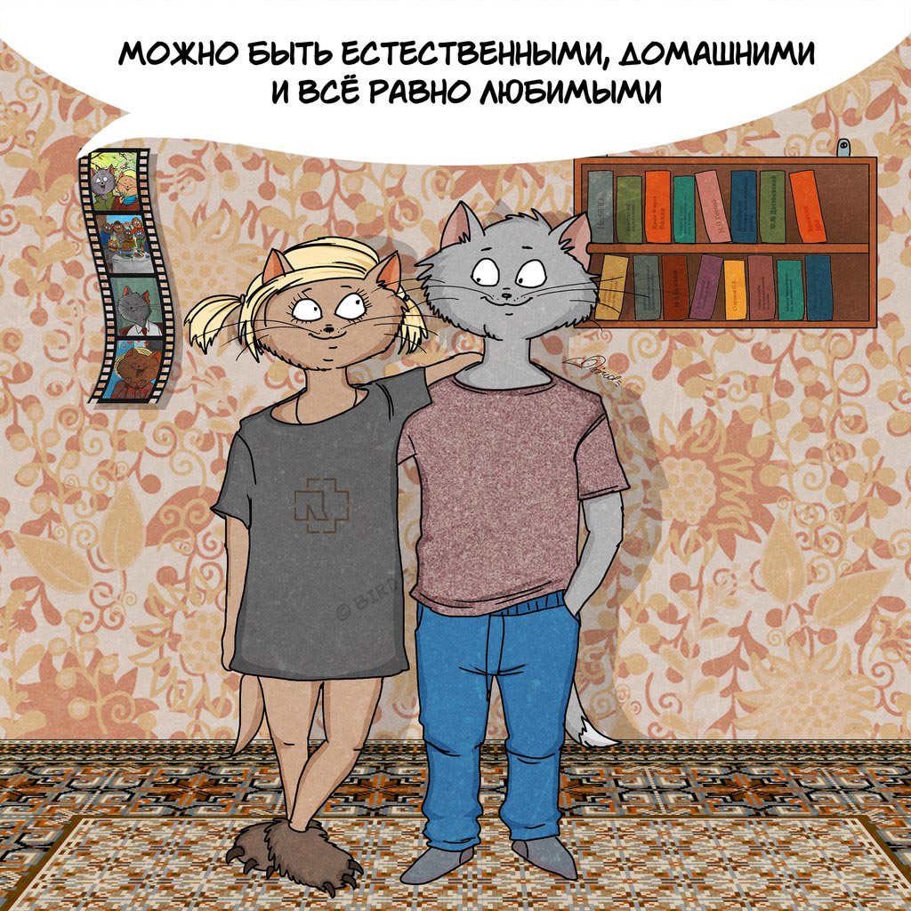 Коты, которые расскажут о радостях совместной жизни Bird Born, коты Bird Born, 10 причин начать жить вместе