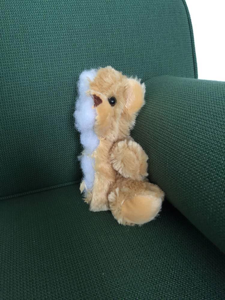 пилит вещи пополам и продает на eBay, пилит вещи пополам и продает на ибэй, муж развод распилил вещи пополам