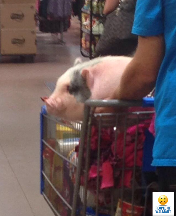 people of walmart, странные американцы, наряды посетителей американских супермаркетов