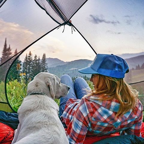 Друг, который всегда с тобой: страница в Instagram, которая вдохновляет на путешествие со своей собакой путешествие с собакой, Camping With Dogs