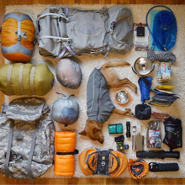 Друг, который всегда с тобой: страница в Instagram, которая вдохновляет на путешествие со своей собакой путешествие с собакой, Camping With Dogs