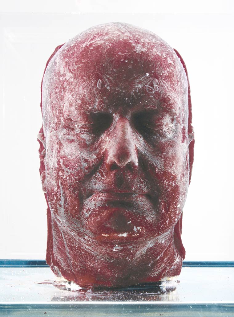 скульптуры из крови, скульптуры сделанные из крови, проект Self, Марк Куинн, Marc Quinn