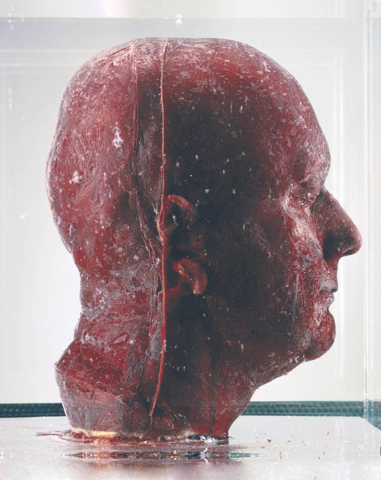скульптуры из крови, скульптуры сделанные из крови, проект Self, Марк Куинн, Marc Quinn