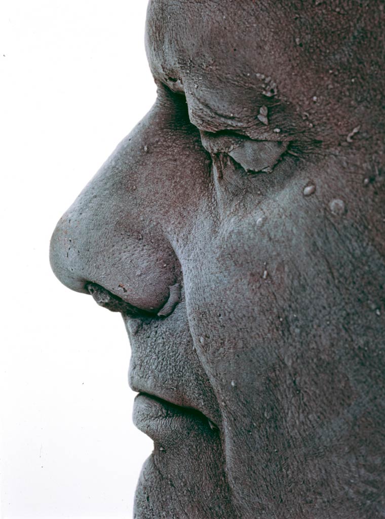 скульптуры из крови, скульптуры сделанные из крови, проект Self, Марк Куинн, Marc Quinn