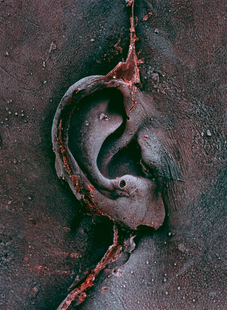 скульптуры из крови, скульптуры сделанные из крови, проект Self, Марк Куинн, Marc Quinn