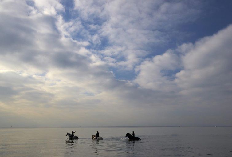 мощные фотографии, самые мощные фотографии недели, обо всём на свете