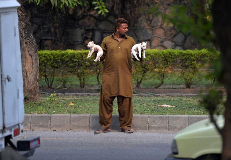 мощные фотографии, самые мощные фотографии недели, обо всём на свете