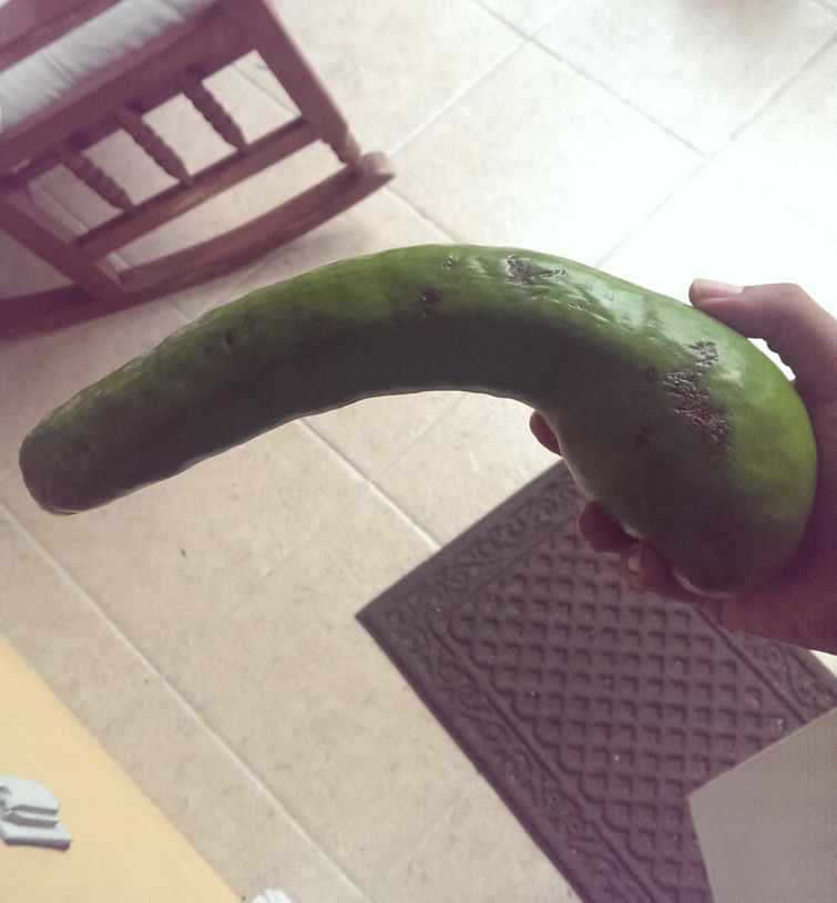 фотографии сексуальный подтекст, смешные фото сексуальный подтекст