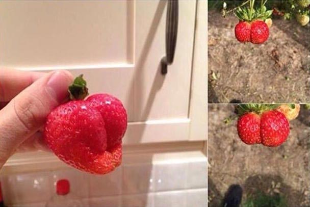 фотографии сексуальный подтекст, смешные фото сексуальный подтекст