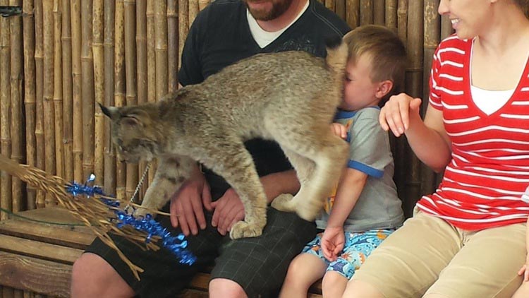 смешные фото зоопарк, зоопарк смешные случаи