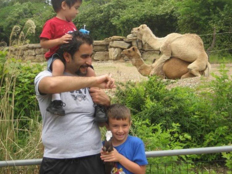 смешные фото зоопарк, зоопарк смешные случаи