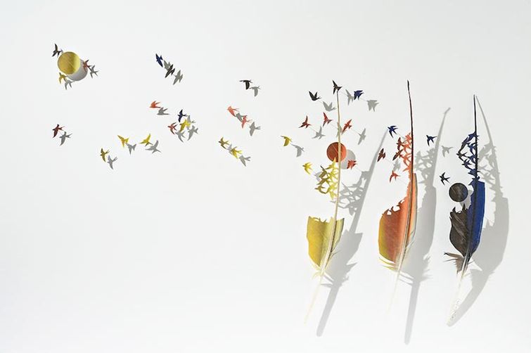 Крис Мэйнард, Chris Maynard, перья в произведения искусства, вырезает из перьев птиц