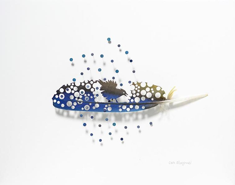 Крис Мэйнард, Chris Maynard, перья в произведения искусства, вырезает из перьев птиц