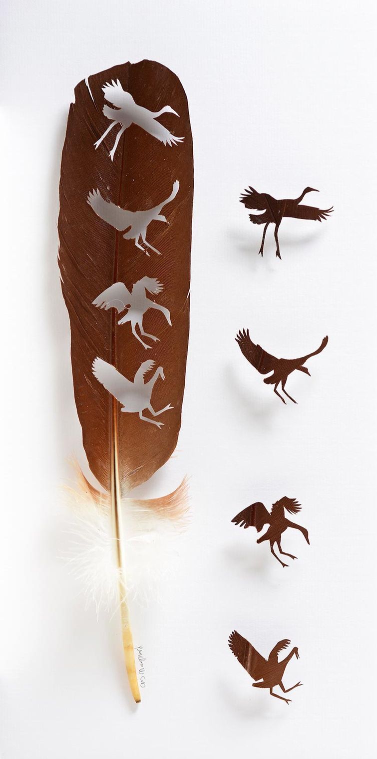 Крис Мэйнард, Chris Maynard, перья в произведения искусства, вырезает из перьев птиц