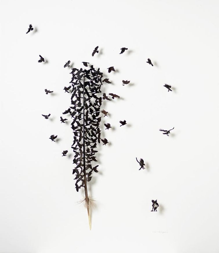 Крис Мэйнард, Chris Maynard, перья в произведения искусства, вырезает из перьев птиц