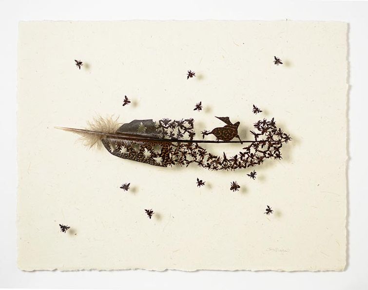 Крис Мэйнард, Chris Maynard, перья в произведения искусства, вырезает из перьев птиц