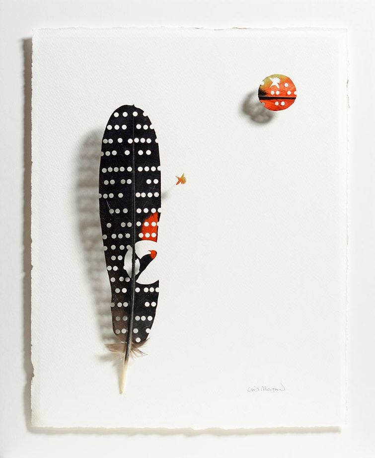 Крис Мэйнард, Chris Maynard, перья в произведения искусства, вырезает из перьев птиц