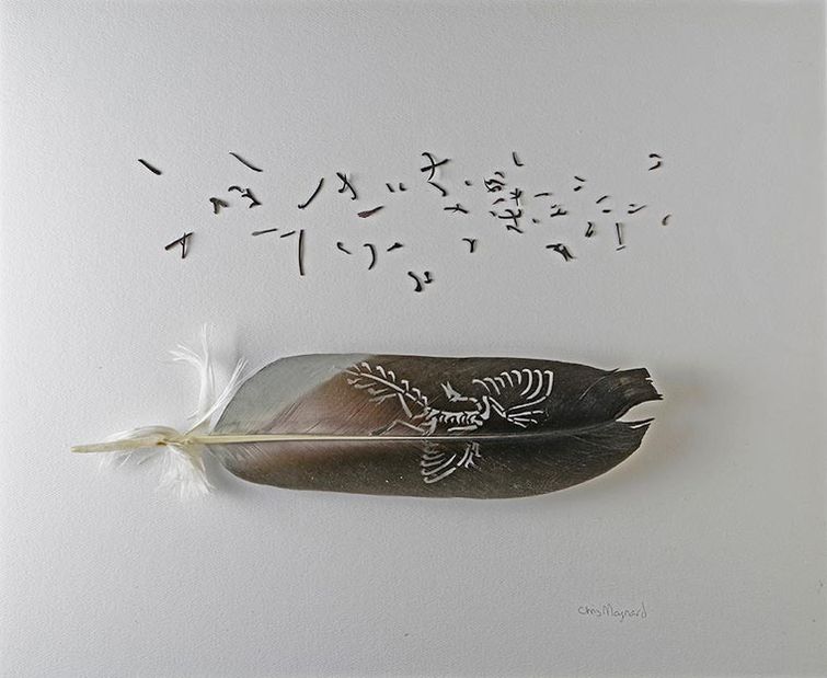 Крис Мэйнард, Chris Maynard, перья в произведения искусства, вырезает из перьев птиц