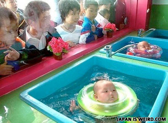 сумасшедшие японцы, тем временем в японии