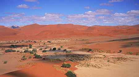 факты о мужском, факты о мужском организме