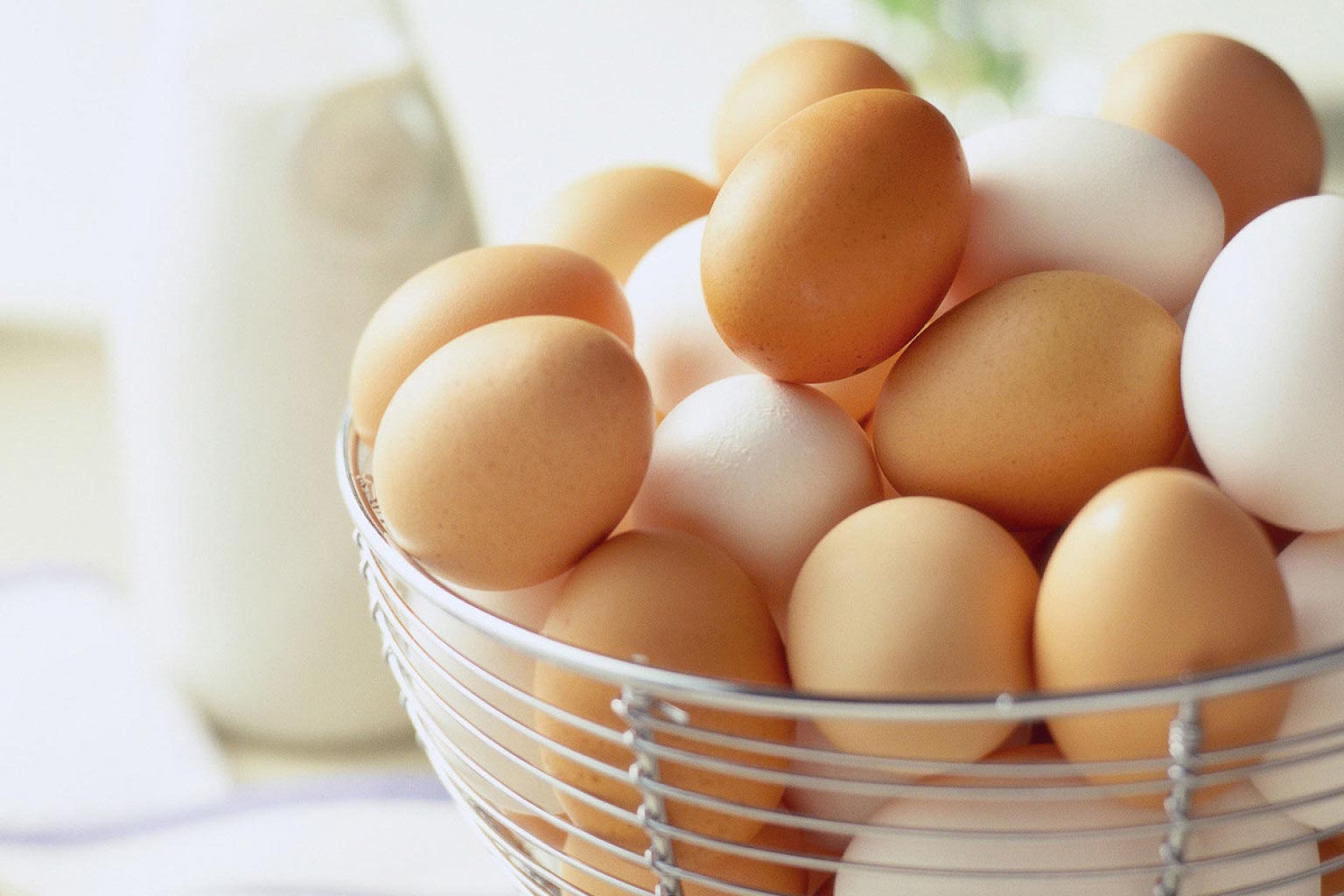 Яйцо картинка. Куриные яйца. Яйцо белое. Яйца и яичные продукты. Яички куриные.