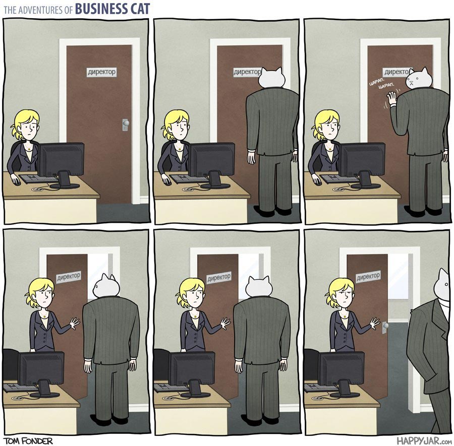 Приключения бизнес-кота, босс кот, Том фондер, Tom Fonder